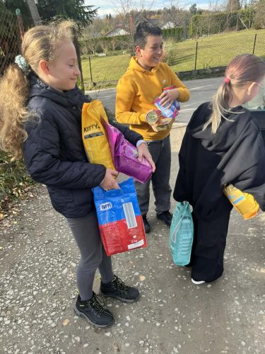 751e28a7-f3d2-40a4-9f6c-2db3911d2d57